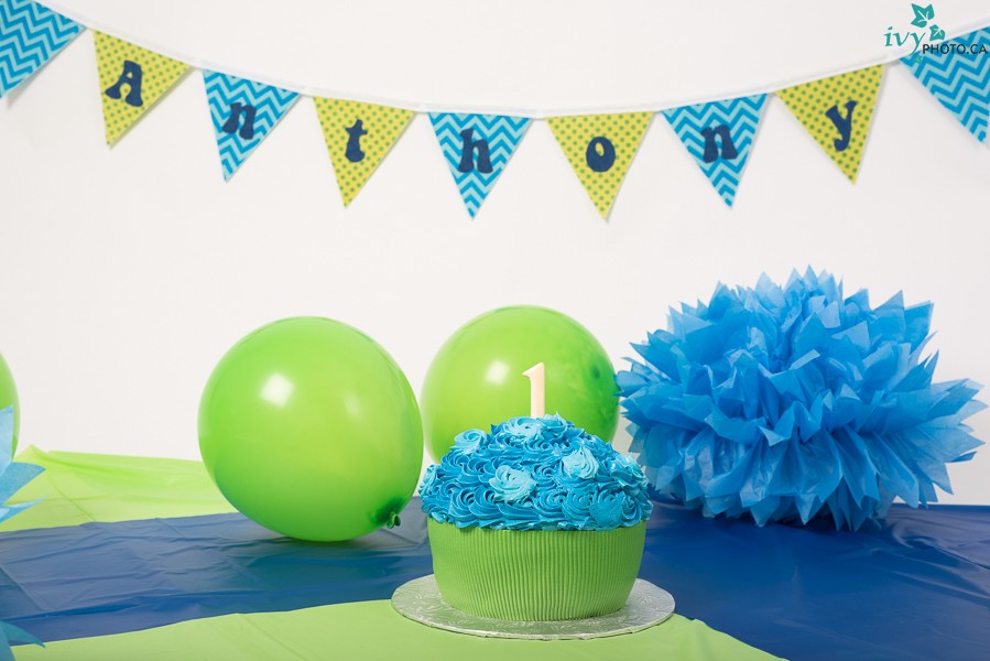 Smash the Cake | SmashCake_Anthony-(Web)004-1828.jpg